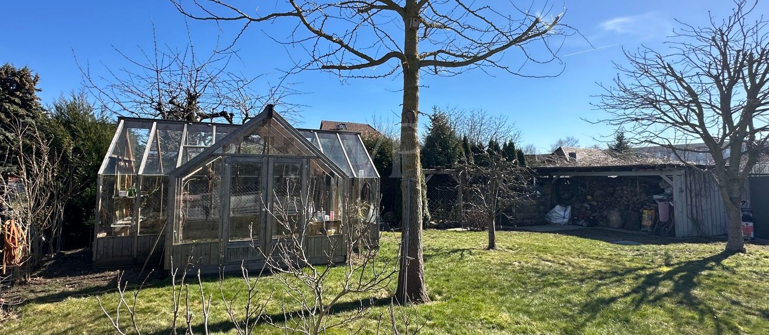 Garten mit Gewächshaus