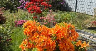 von_poll_real_estate_property_25156013_image_14