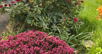von_poll_real_estate_property_25156013_image_16