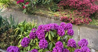 von_poll_real_estate_property_25156013_image_17