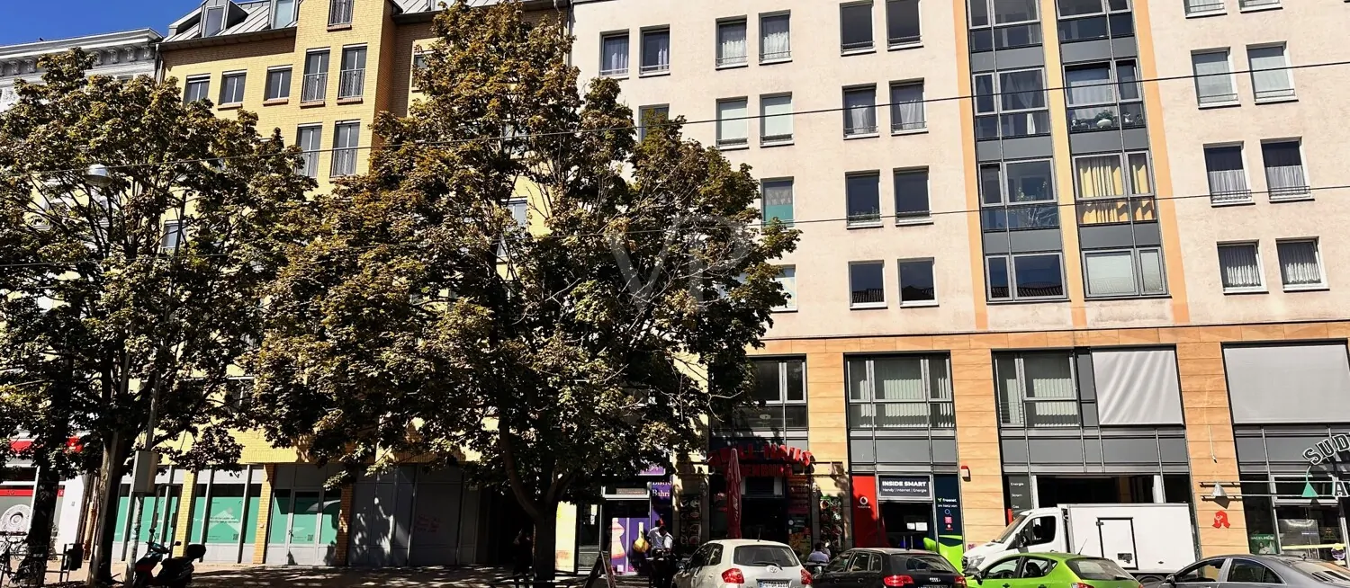 Stilvoll modernisierte Etagenwohnung mit Komfort und Sonnenlichtgarantie