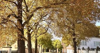 von_poll_real_estate_property_25156026_image_5