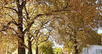 von_poll_real_estate_property_25156026_image_5