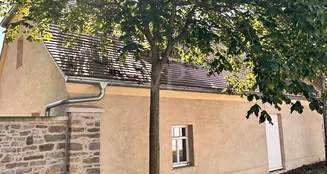 von_poll_real_estate_property_25156026_image_3