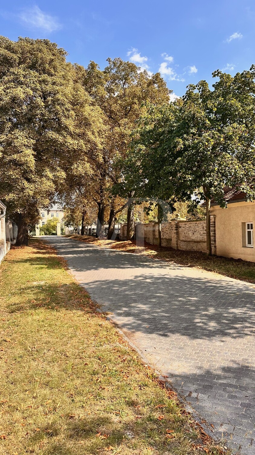 Allee zum Schloss