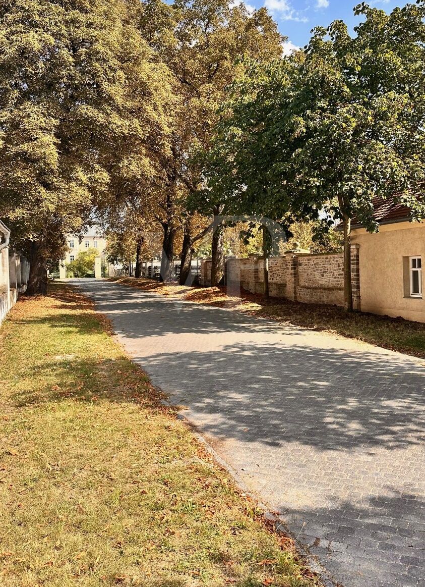 Allee zum Schloss