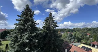 von_poll_real_estate_property_25156027_image_5