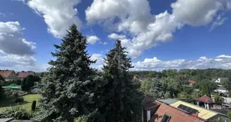 von_poll_real_estate_property_25156027_image_5