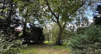 von_poll_real_estate_property_25156027_image_22