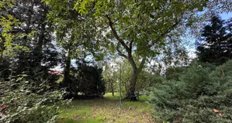 von_poll_real_estate_property_25156027_image_22