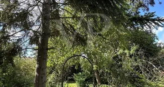 von_poll_real_estate_property_25156027_image_23