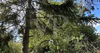 von_poll_real_estate_property_25156027_image_23