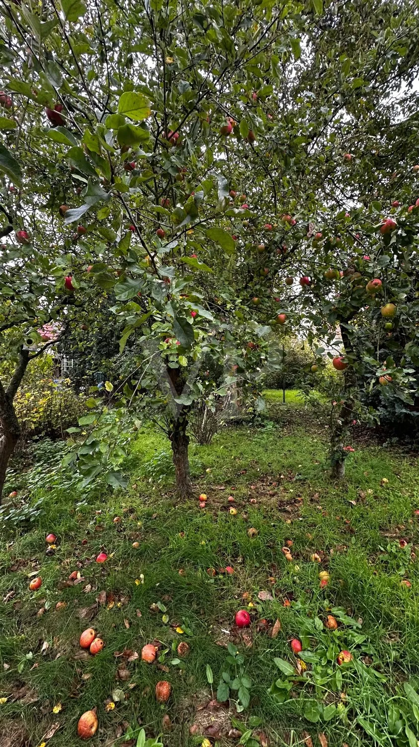 Charmante Doppelhaushälfte mit großzügigem Garten und ausgebautem Dachgeschoss