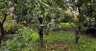 von_poll_real_estate_property_25156027_image_27