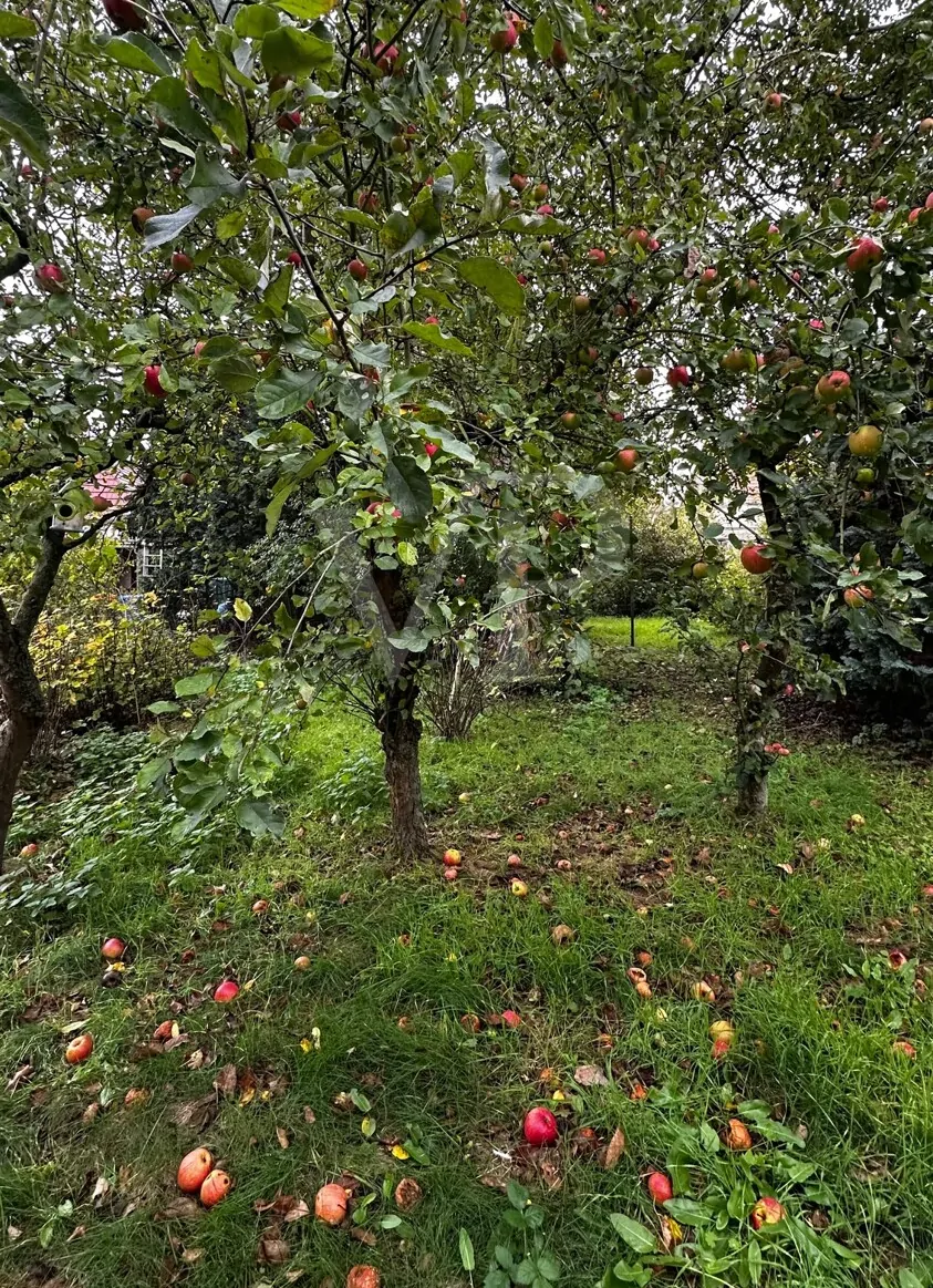 Charmante Doppelhaushälfte mit großzügigem Garten und ausgebautem Dachgeschoss
