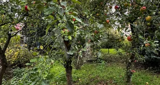 von_poll_real_estate_property_25156027_image_27