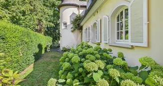 von_poll_real_estate_property_25221053_image_4