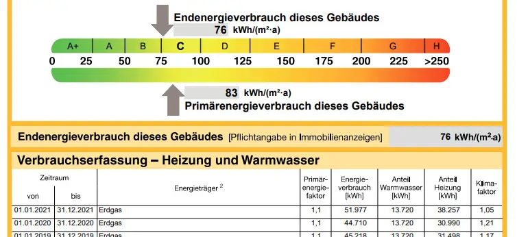 Auszug Energieausweis