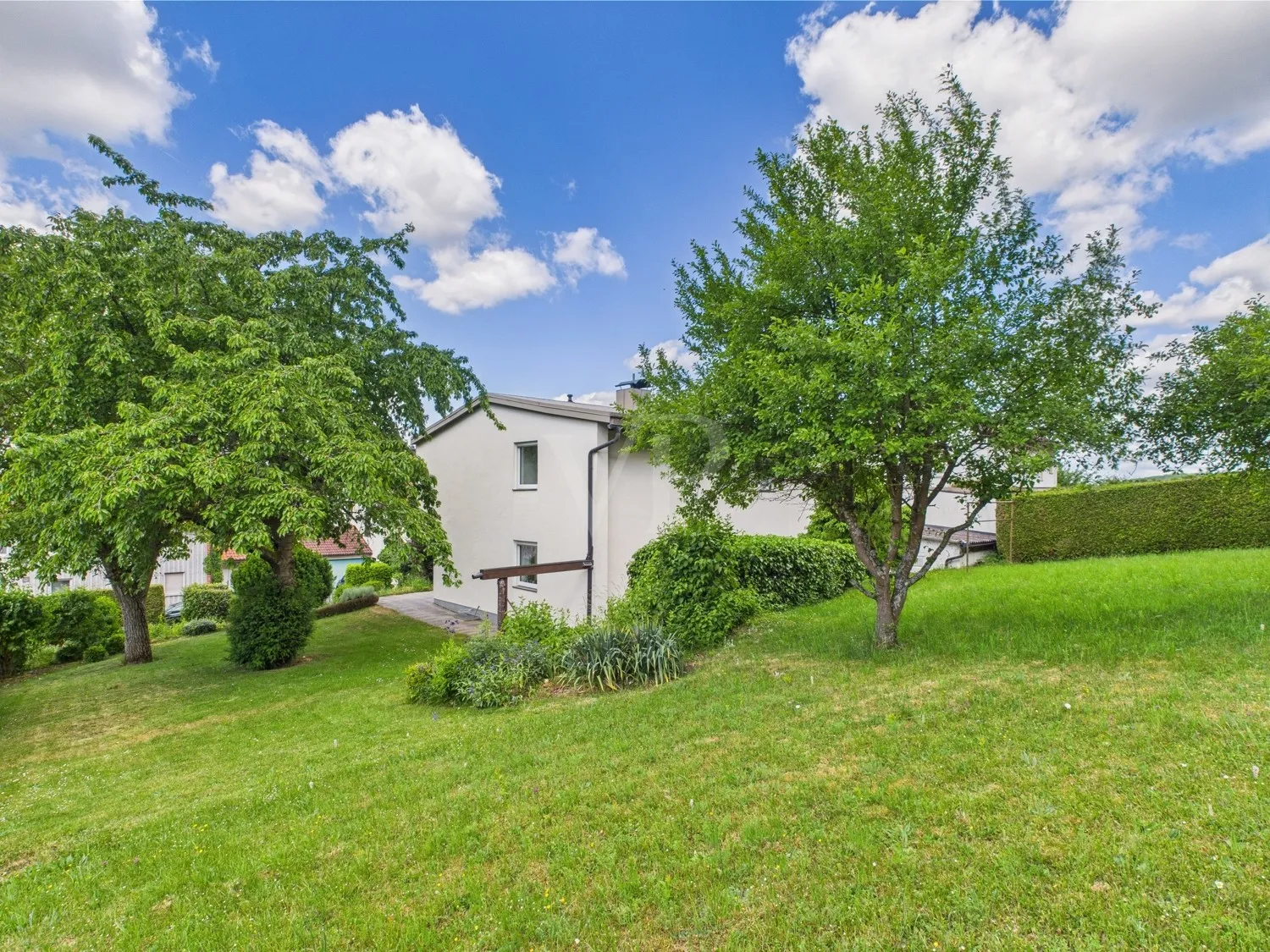 Blick aus dem Garten