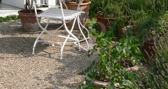 von_poll_real_estate_property_25221045_image_17