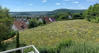 von_poll_real_estate_property_25221045_image_14