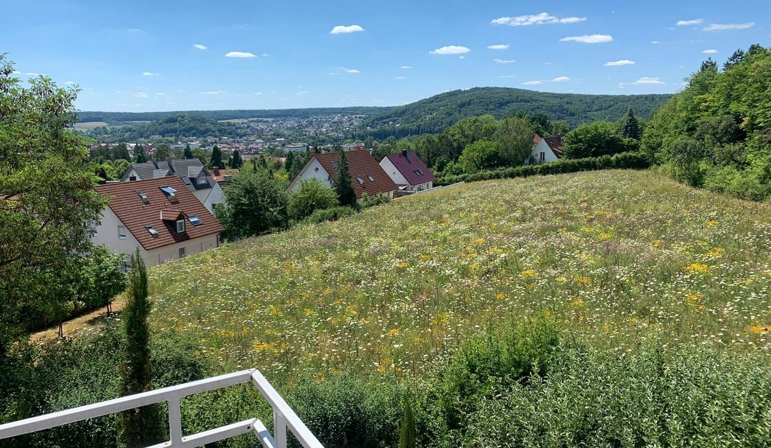 Ausblick vom Balkon