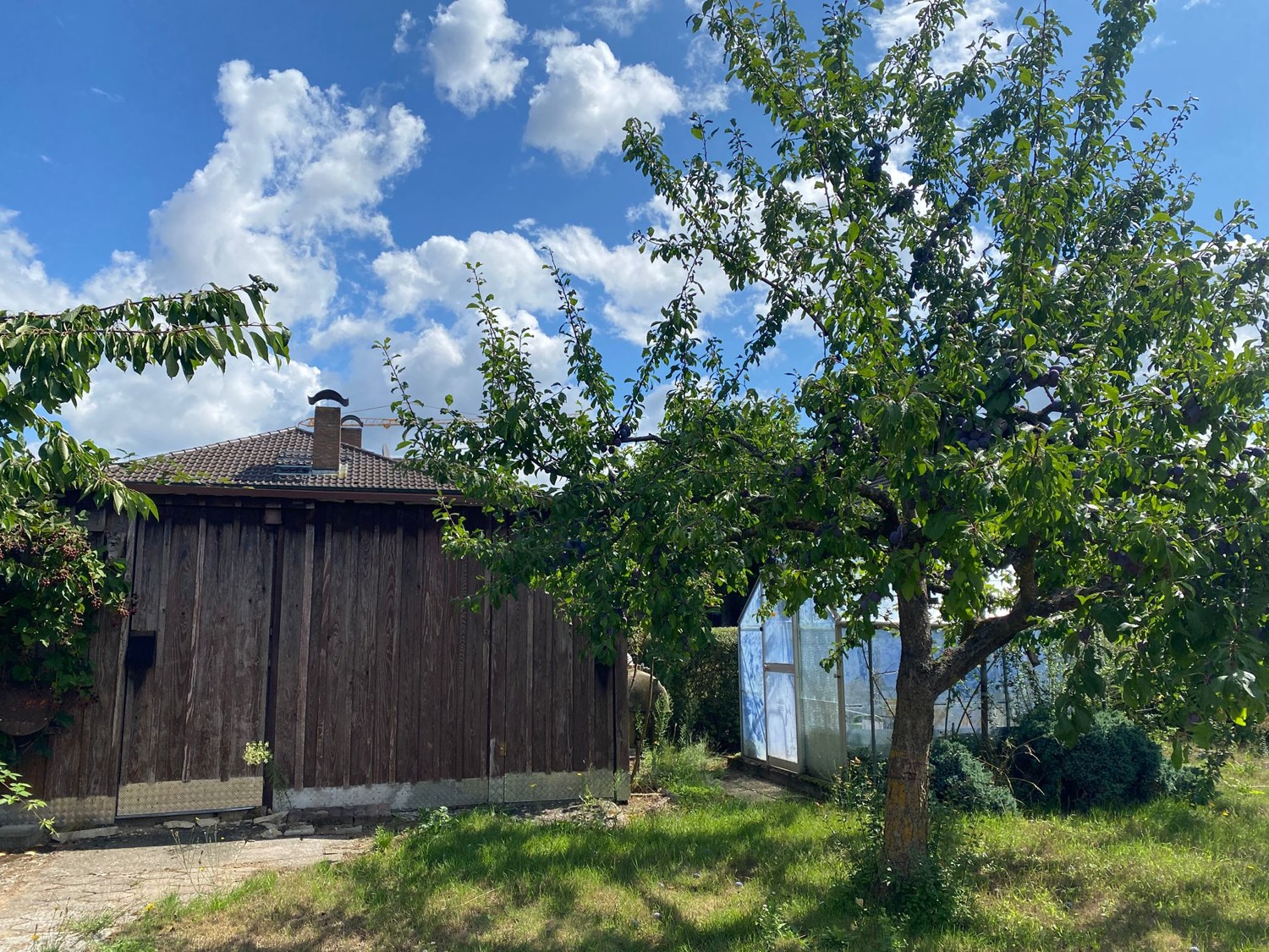Schuppen / Gewächshaus