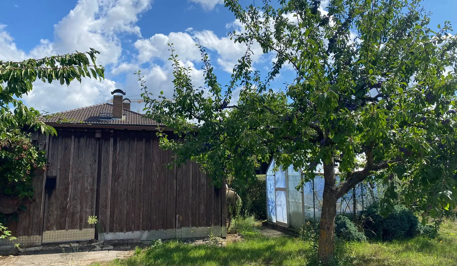 Schuppen / Gewächshaus