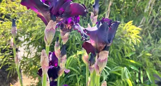 von_poll_real_estate_property_25221077_image_14