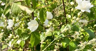 von_poll_real_estate_property_25221077_image_15