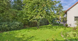 von_poll_real_estate_property_25221044_image_14