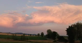 von_poll_real_estate_property_25221075_image_15