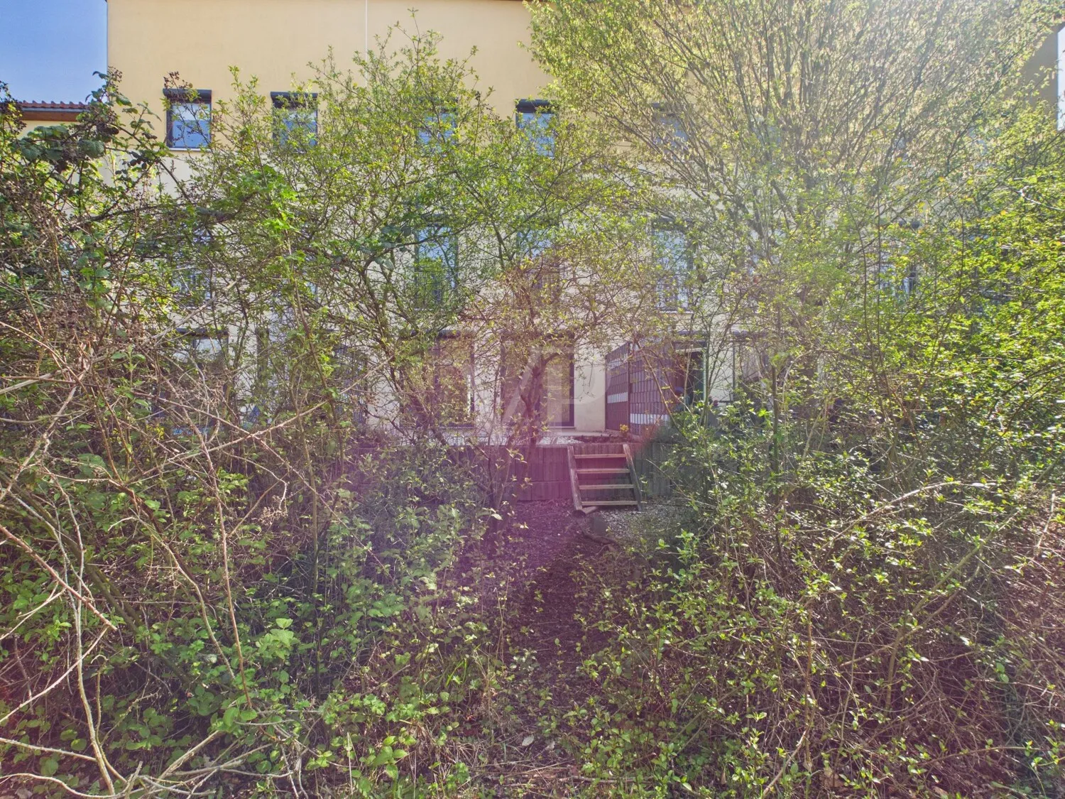 Hinter dem Haus