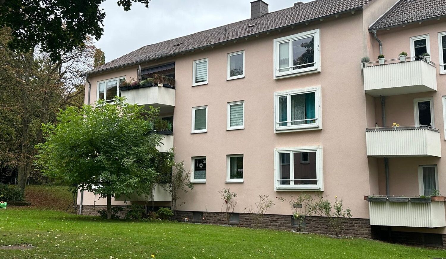 Rückseite