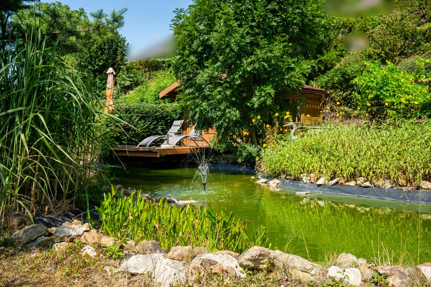 Naturteich