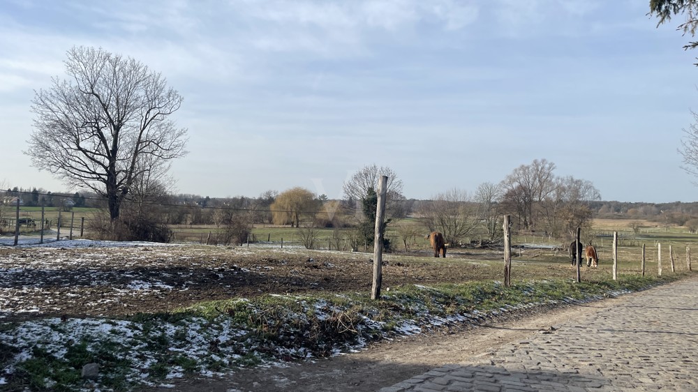 Ponyhof