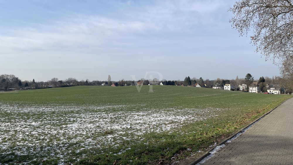 Feldblick