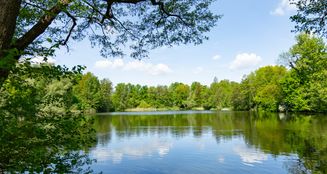 von_poll_real_estate_property_25045009_image_27