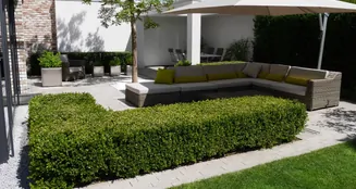 von_poll_real_estate_property_25040037_image_8