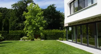 von_poll_real_estate_property_25040037_image_10