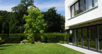 von_poll_real_estate_property_25040037_image_10