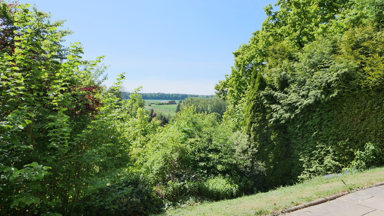 Blick vom Balkon