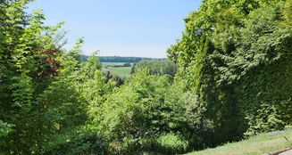von_poll_real_estate_property_25040020_image_12