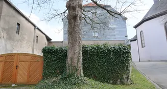 von_poll_real_estate_property_25040045_image_2