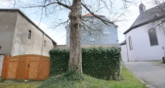 von_poll_real_estate_property_25040045_image_2