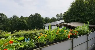 von_poll_real_estate_property_24040056_image_10