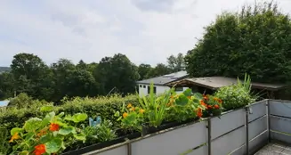 von_poll_real_estate_property_24040056_image_10