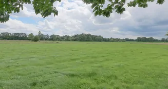 von_poll_real_estate_property_24040048_image_11