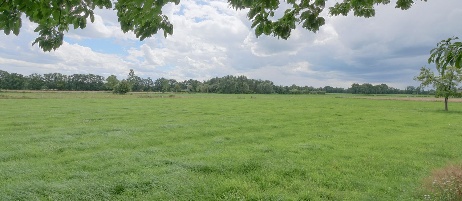 Landfläche