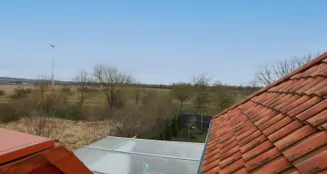 von_poll_real_estate_property_25040008_image_15